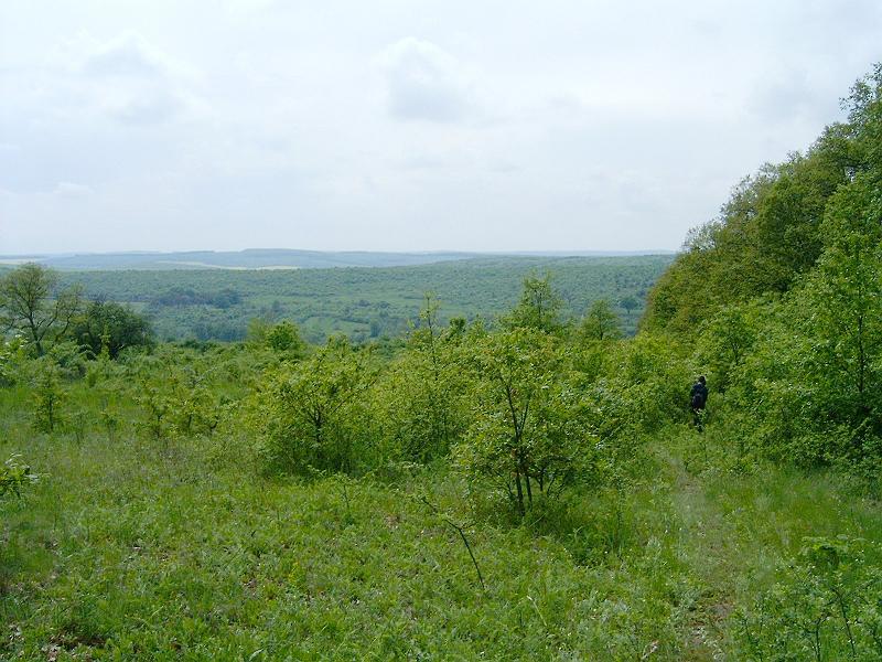 2010.05.08 (098).jpg